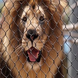 304 de aço inoxidável anti rede de arame cortante do jardim zoológico para a malha de cerco protetora do leão dos animais