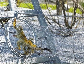 Tipo malha de aço inoxidável de 316 virolas do jardim zoológico da corda do cabo de fio para a rede do pássaro da rede do aviário